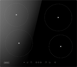 Induktionsfeld Reparatur Grimma